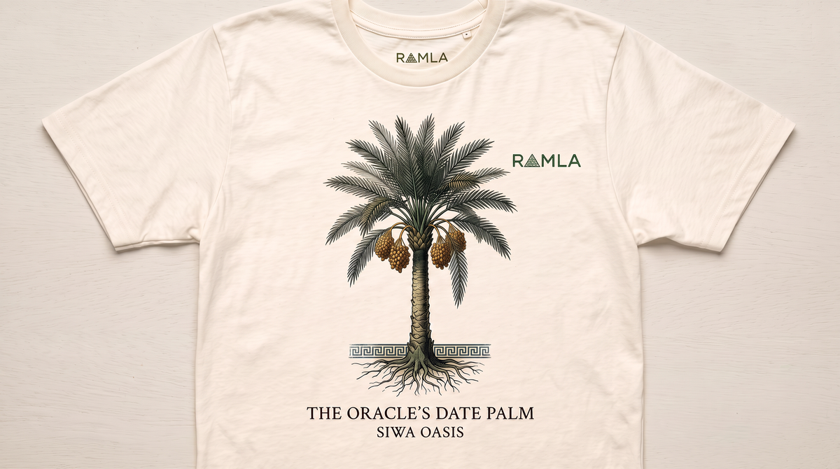 Palm Siwa
